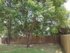 9627 Summerbrook