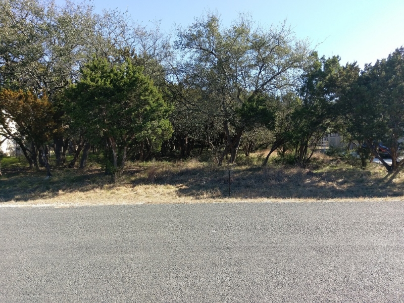 IMAG0295