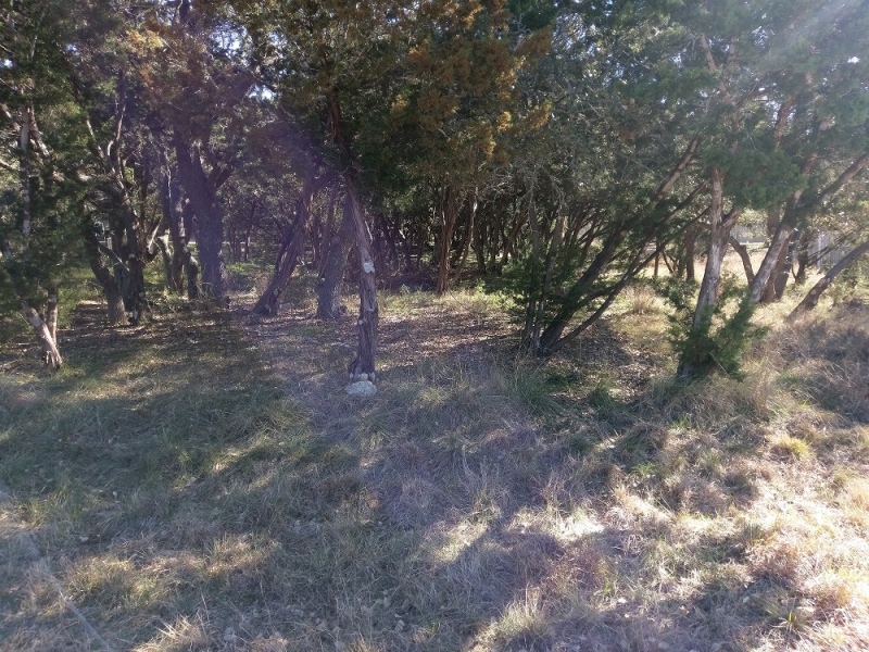 IMAG0298