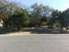 IMAG0295