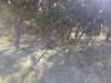 IMAG0297