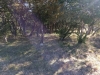 IMAG0298